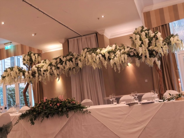 Wisteria Canopy Trees Wisteria Canopy Trees