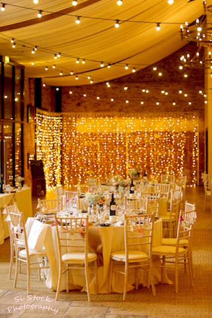 Fairy Lights Hire Fairy Lights Hire