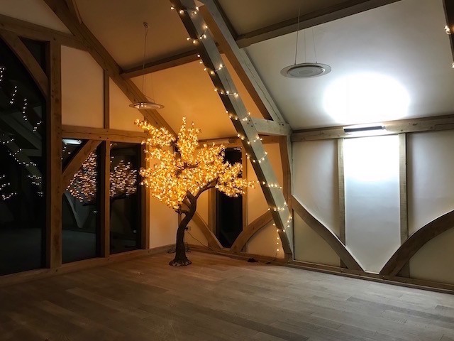 LED Tree Hire