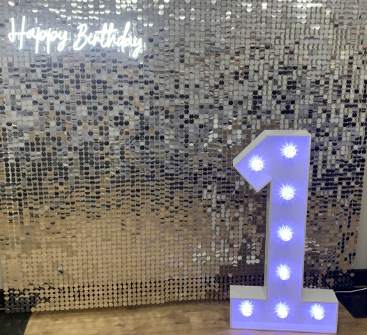 Sequin Shimmer Wall Hire