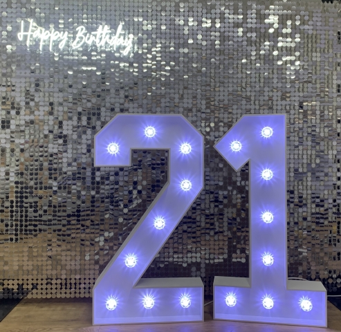 Sequin Shimmer Wall Hire Sequin Shimmer Wall Hire