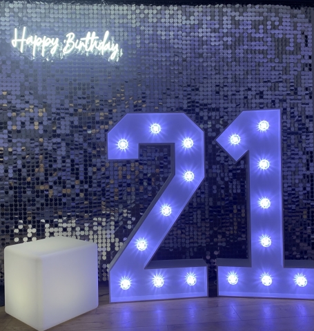 Sequin Shimmer Wall Hire Sequin Shimmer Wall Hire