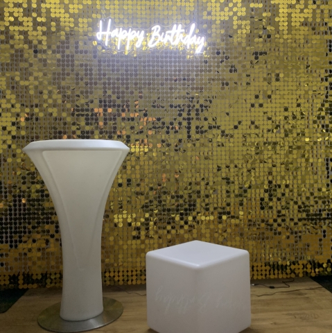 Sequin Shimmer Wall Hire