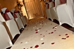 VIP White Carpet Hire