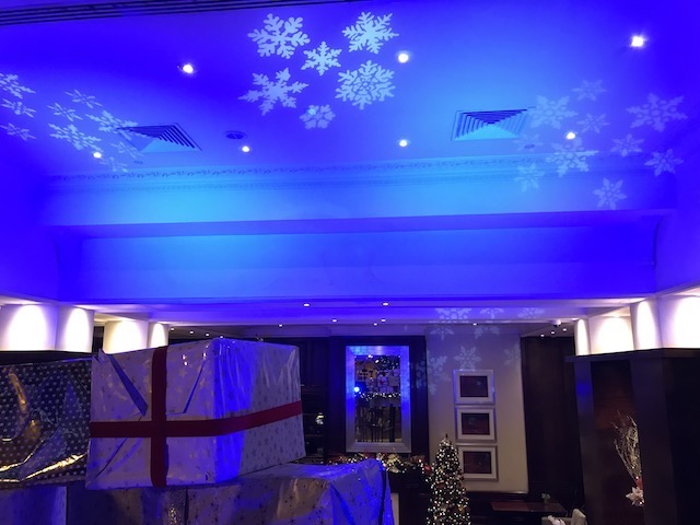 Snow Flake Projection